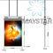 Màn hình quảng cáo kỹ thuật số đôi kích thước 55 inch Hình nền OLED treo Hiển thị bán lẻ nhà cung cấp